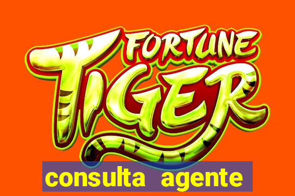 consulta agente autuador sp